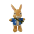 "Pieter Rabbit" het konijn*S